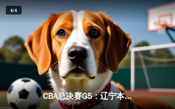 CBA总决赛G5：辽宁本钢加时逆转浙江广厦 豪取三连冠伟业 - 4